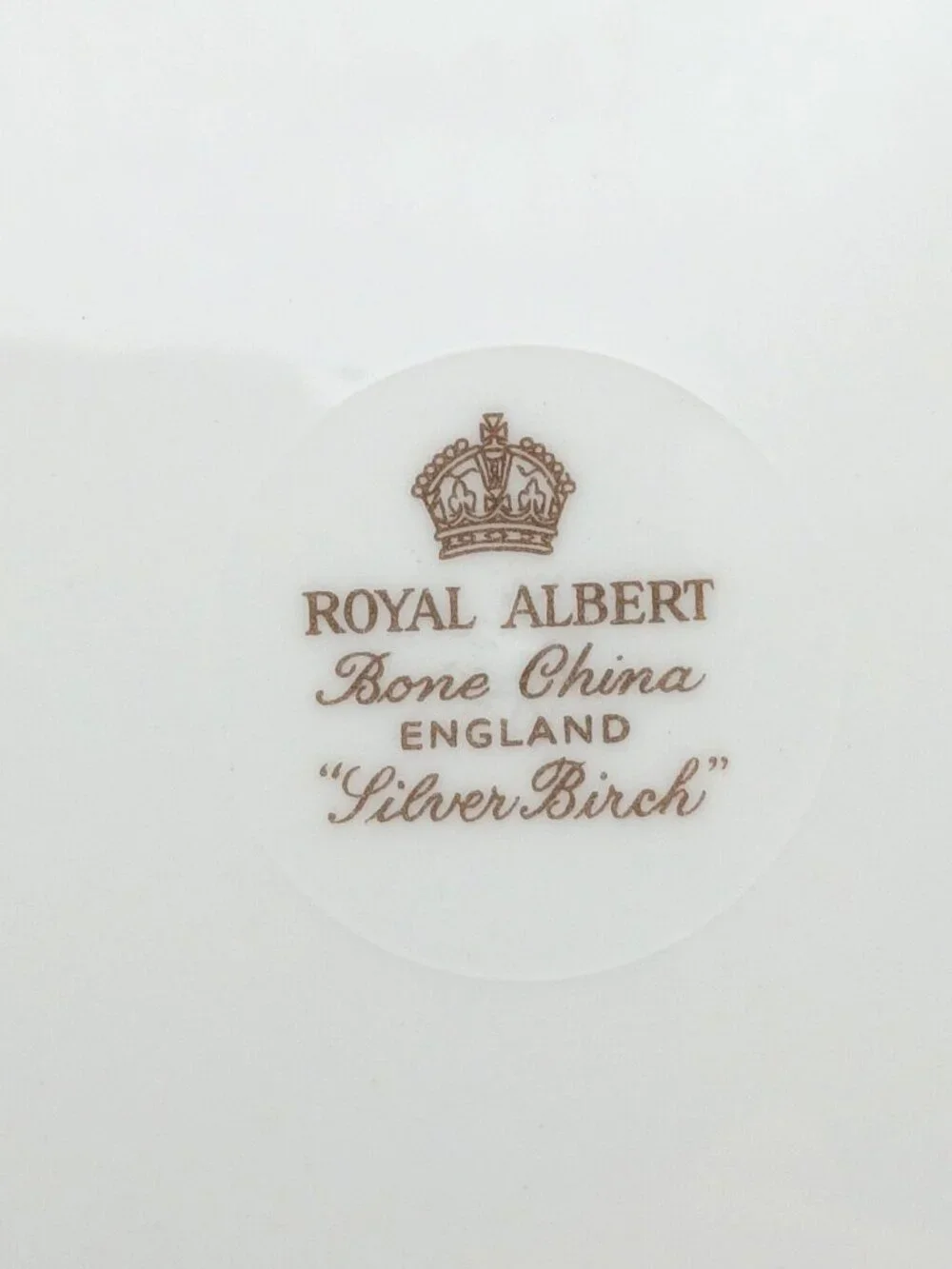 Royal Albert Silver Birch 4pc Place Setting Bone China Dinnerware England